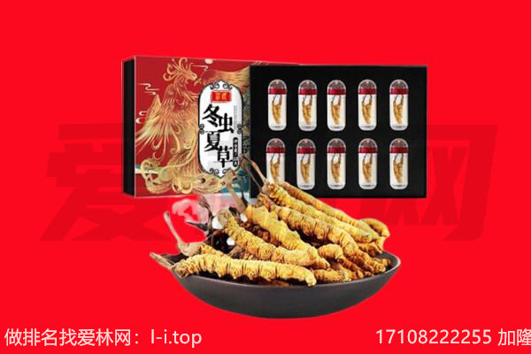 淮安市淮阴回收虫草.jpg